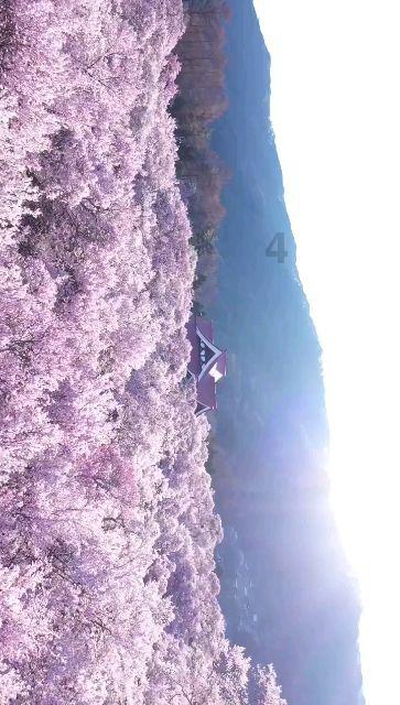 大足好医“声”·好科普丨正确认识糖皮质激素