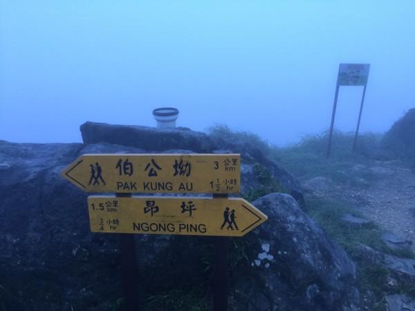 去年家庭人均旅游花费较2020年增长31.3%,今年预计继续增长