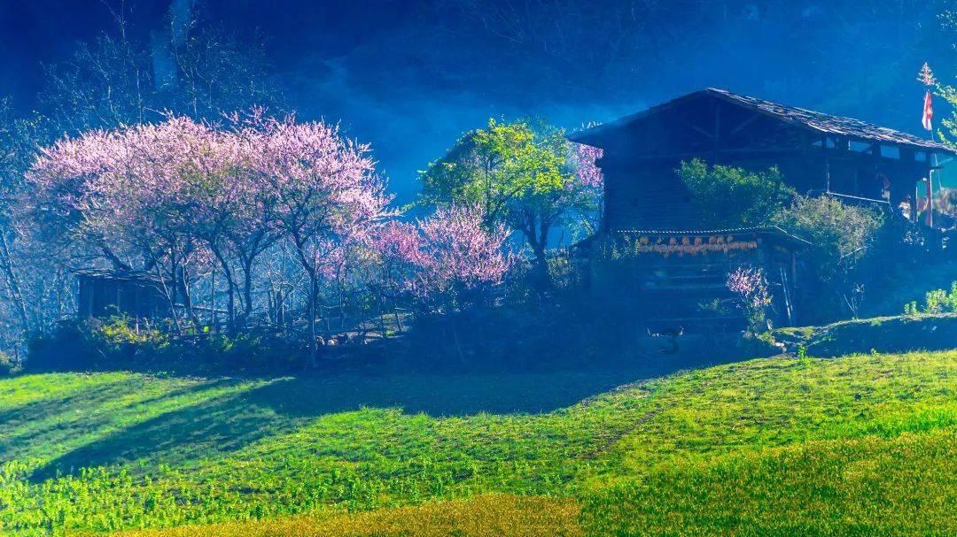 闺蜜生日送大白鹅，如何看待这种有特色的生日礼物？游戏画面
